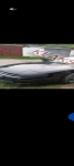 продам Toyota Celica в пмр  фото 1