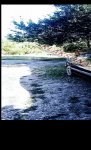 продам Volkswagen Passat в пмр  фото 3