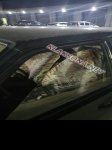 продам ВАЗ 21099 в пмр  фото 1