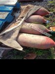 продам ГАЗ 310221 в пмр  фото 6