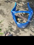 продам Kawasaki KX в пмр  фото 2