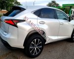 продам Lexus NX в пмр  фото 6