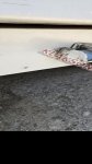 продам Citroen Jumper в пмр  фото 3