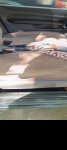 продам Ford Focus в пмр  фото 4