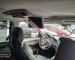 продам Acura MDX в пмр  фото 5