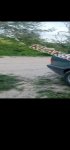 продам BMW 3er 320 в пмр  фото 2
