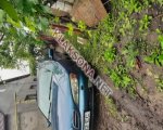 продам Nissan Primera в пмр  фото 2