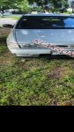 продам Nissan Sunny в пмр  фото 2